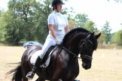 Dressuur Recreatief 2018
