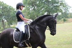 Dressuur Recreatief 2019
