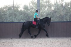 69332416_2501663139919807_8830497093228429312_o