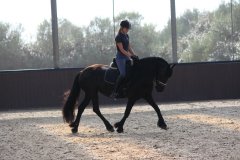 69369476_2501662539919867_6239716629224095744_o