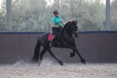 69430929_2501663203253134_6792729419891867648_o