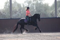 69490784_2501662416586546_6058679630234124288_o