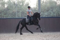 69507463_2501663056586482_4246880270923333632_o