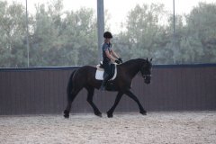 69523988_2501663266586461_6782739081148235776_o