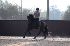 69526314_2501662603253194_6577841447179911168_o