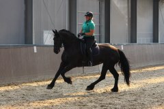 69602211_2501662569919864_6137747916569182208_o