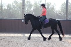 69627455_2501662436586544_5676442994182455296_o