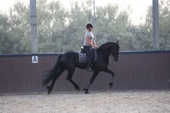 70282601_2501663073253147_4736275804139290624_o