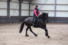 17546784_1356105407808925_2247131588477085292_o