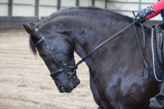 17834807_1356105124475620_6602459667616274174_o