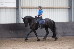 17854721_1356106484475484_6563490498587053824_o