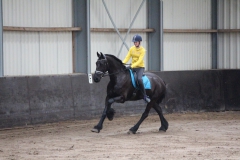 17855046_1356105011142298_6931817523495627325_o