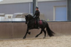 IMG_5011