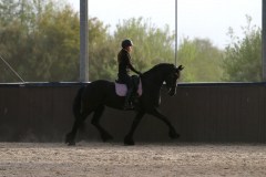 IMG_5277